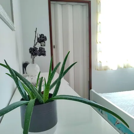 Apartment Cute Marina In The Of Krk *