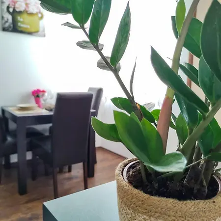 Cute Marina In The Of Krk Apartment